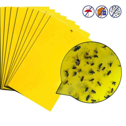 Double-Sided Sticky Insect Board For Melon Fruit Flies hanging yellow adhesive trap for greenhouses and fields, shows trapped melon fruit flies