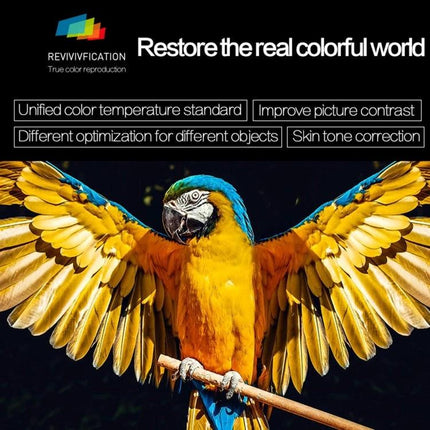 Portable Android Projector for Home Entertainment Use projecting vivid full-color parrot image showcasing true color reproduction and improved contrast