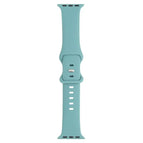 For Apple Watch Ultra 49mm / Series 8&7 45mm / SE 2&6&SE&5&4 44mm / 3&2&1 42mm / Pine Needle Green