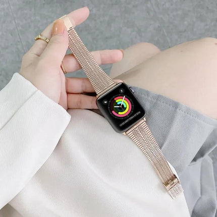 Double Line Steel Replacement Apple Watch Strap 38-45mm