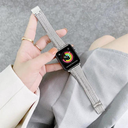 Double Line Steel Replacement Apple Watch Strap 38-45mm