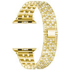 7 41mm / 6 & SE & 5 & 4 40mm / 3 & 2 & 1 38mm / Gold