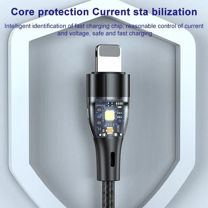 ADC 003 Type C To 8 Pin PD Fast Charging Woven Cable 1m 2m close-up of woven cable and exposed chip showing core protection and fast charging tech