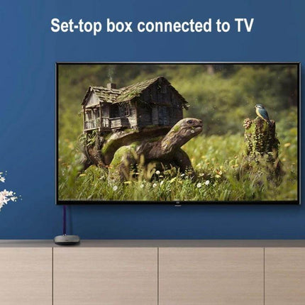 ULT-unite 4K Ultra HD Gold-Plated HDMI Cable for Daily Connections - set-top box connected to TV showing nature scene