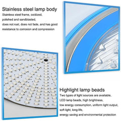 Stainless Steel LED Underwater Wall Light for Pool and Landscape