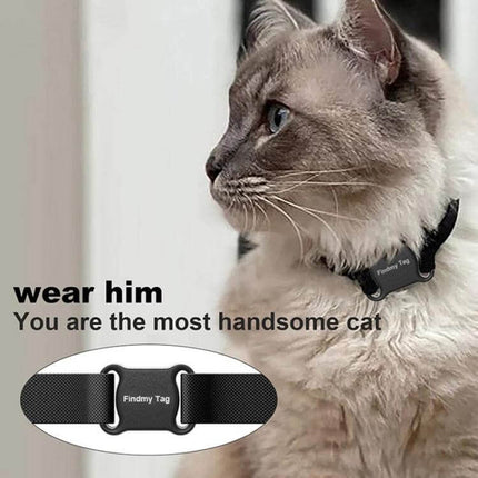 Findmy Special Shape Bluetooth Tracker for Lost Items Daily Use shown attached to a cat collar, app-enabled tracker for keys wallets and pets