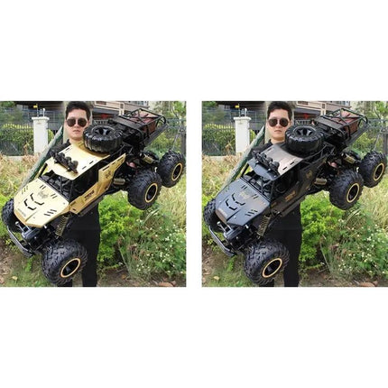 Kids RC Off Road Car For Beach And Field Play