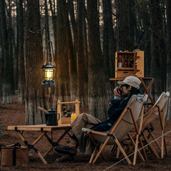 Vintage-Style Portable Camping Lantern with LED Light