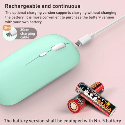 FOREV Ergonomic Silent Wireless Mouse for Everyday Computing - mint rechargeable mouse with USB cable and AA batteries shown