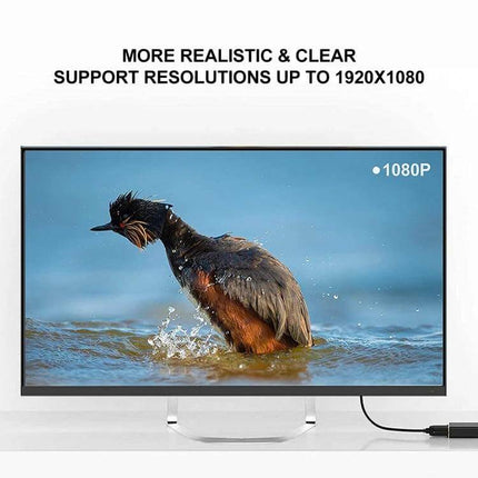 USB 3.0 to HDMI Converter for Laptops and Desktop Displays showing 1080p monitor with bird image and cable connection