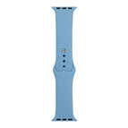 For Apple Watch Series 8&7 41mm / SE 2&6&SE&5&4 40mm / 3&2&1 38mm / Clear Blue