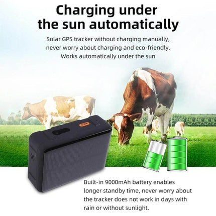 Durable Solar Powered Waterproof GPS Tracker for Livestock Monitoring shown charging in field with cows and battery icons