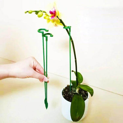 Flower Shape Plant Support Rods, 10 Pieces, 17 to 58 cm - green fiberglass stakes supporting potted orchid stem, 10-piece set