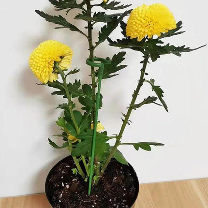 Flower Shape Plant Support Rods, 10 Pieces, 17 to 58 cm supporting potted yellow chrysanthemum with flower-shaped fiberglass stakes