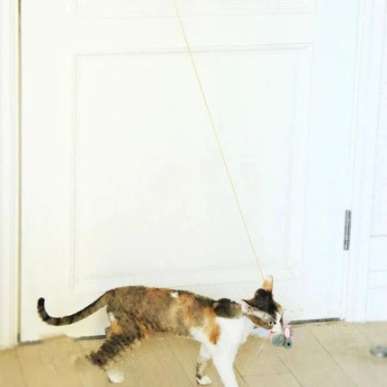 Hanging Cat Toy for Everyday Indoor Play and Fun - calico cat batting a hanging mouse toy attached to door