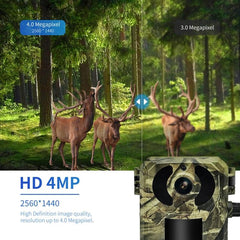 Solar-Powered 4MP Wildlife Surveillance Camera with PIR Alert and Two-Way Audio