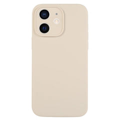 Silky Touch Liquid Silicone Phone Case with Fine Pore Design for iPhone 11