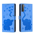 For Samsung Galaxy S21+ 5G / Blue