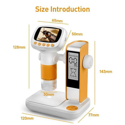 HD Digital Microscope with Screen for Skin and Fruit Observation showing dimensions and built-in screen on white orange stand