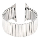For Apple Watch Series 8&7 41mm / SE 2&6&SE&5&4 40mm / 3&2&1 38mm / Silver