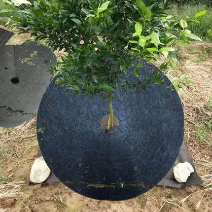 Ecological Anti-Grass Non-Woven Garden Cloth For Weed Control 52x6cm laid around young tree to suppress weeds while allowing moisture