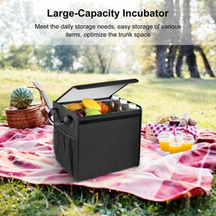 Foldable Car Trunk Organizer With Leakproof Cooler Bag on picnic blanket holding fruit, drinks and groceries - collapsible, large-capacity cooler organizer