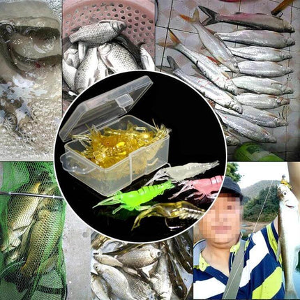 Fishing Soft Artificial Shrimp Bait Lures 4cm in storage case with assorted colored soft shrimp lures and catch collage