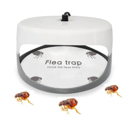 Flea Trap Lamp For Home Use, Pet Care, Indoor Flea Control - compact chemical-free indoor flea trap lamp for homes with cats and dogs