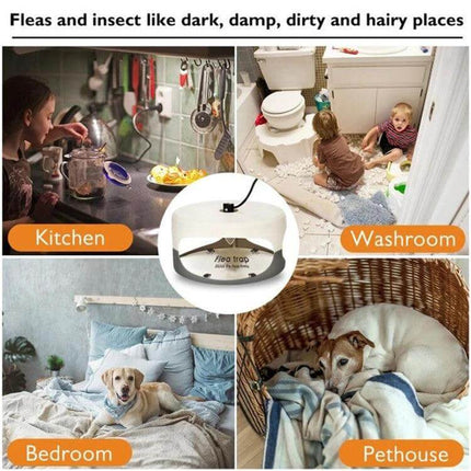 Flea Trap Lamp For Home Use, Pet Care, Indoor Flea Control compact chemical-free lamp attracting fleas in kitchen bedroom washroom and pet house