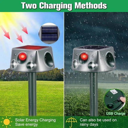 Four-Sided Solar Animal Repeller for Outdoor Use at Home showing solar and USB charging options on a garden stake