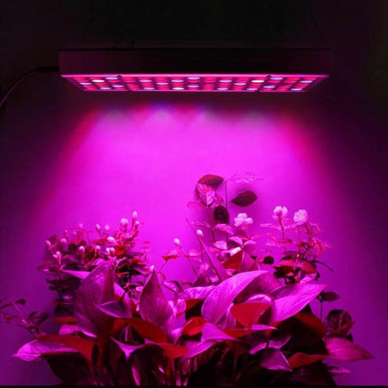 Full Spectrum Plant Grow Light For Indoor Seedlings overhead LED panel emitting red and blue light onto potted seedlings in a small indoor grow setup