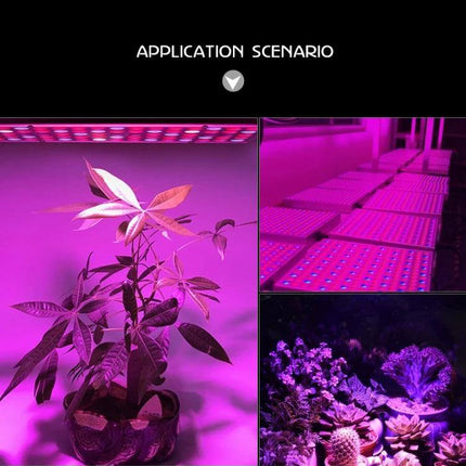 Full Spectrum Plant Grow Light For Indoor Seedlings - 45W LED with 144 LEDs (UV/IR/White/Blue/Red) used in home grow tents and hydroponics