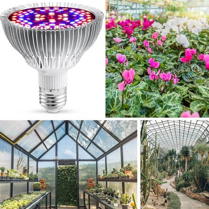 Full Spectrum Indoor Plant Growth Light For Home Garden Use LED bulb collage with greenhouses and blooming potted plants