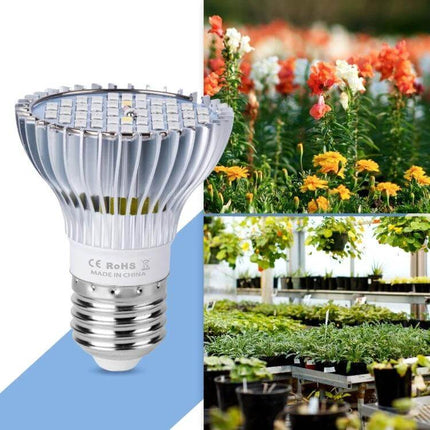 Full Spectrum Indoor Plant Growth Light For Home Garden Use LED bulb close-up with flowers and greenhouse seedlings