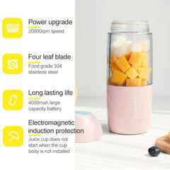 Portable USB Rechargeable Fruit Juicer Blender with 500ml Capacity