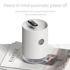 Compact Ultrasonic USB Humidifier and Aroma Diffuser with LED Light