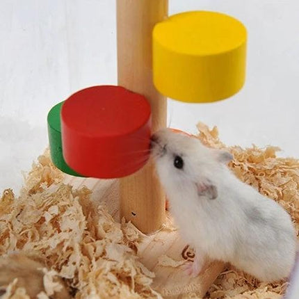Colorful Wooden Ladder Toy for Small Pets in Daily Cages — hamster exploring colorful wooden climbing ladder in bedding