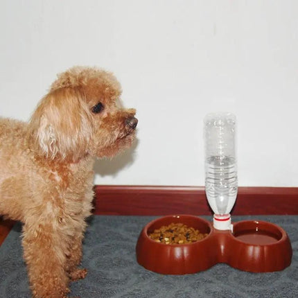 Practical bowls for everyday pet meals and water at home | Syndmart
