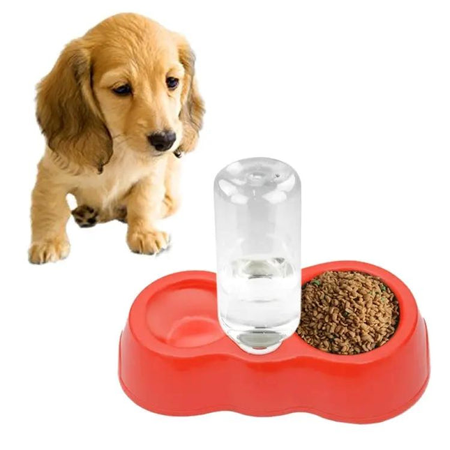 Convenient Double Bowl Set for Everyday Pet Meals at Home