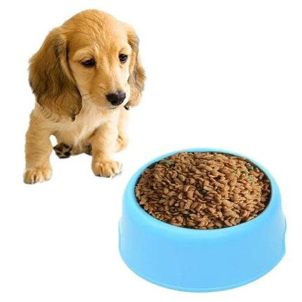 Simple Pet Bowl for Everyday Cat and Dog Feeding - blue PP feeding bowl with kibble and curious puppy