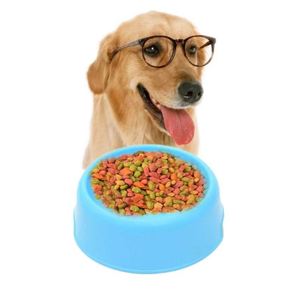 Simple Pet Bowl for Everyday Cat and Dog Feeding - blue PP bowl filled with kibble and happy dog