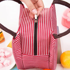 Stylish Insulated Lunch Tote Bag with Double Handles for Food Storage and Preservation, Size: 23x17x15cm