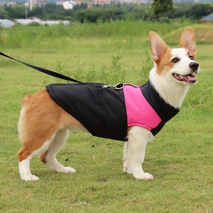 Comfortable Cotton Vest for Dogs on Daily Outings and Photos - pink and black breathable cotton dog vest on corgi during park walk
