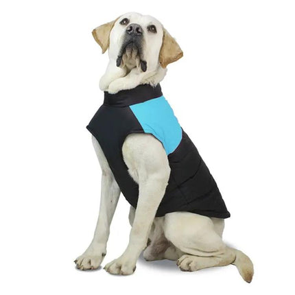 Comfortable Cotton Vest for Dogs on Daily Outings and Photos