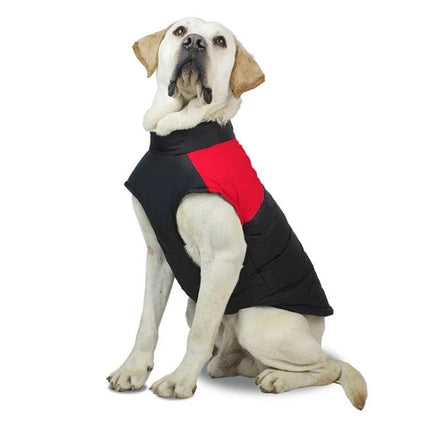 Comfortable Cotton Vest for Dogs on Daily Outings and Photos - white lab wearing breathable red and black cotton dog vest for walks and photos