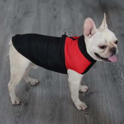Comfortable Cotton Vest for Dogs on Daily Outings and Photos