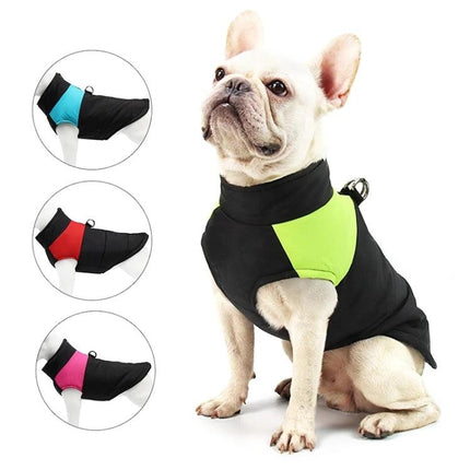 Comfortable Cotton Vest for Dogs on Daily Outings and Photos - lime green and black breathable cotton dog vest on French bulldog