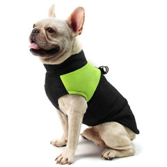 Chic XXL Cotton Ski Vest for Dogs - Stylish Winter Outfit