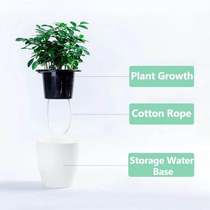 Lazy Flower Pots Self Watering Planter, 11cm Diameter showing plant growth, cotton rope wick and storage water base