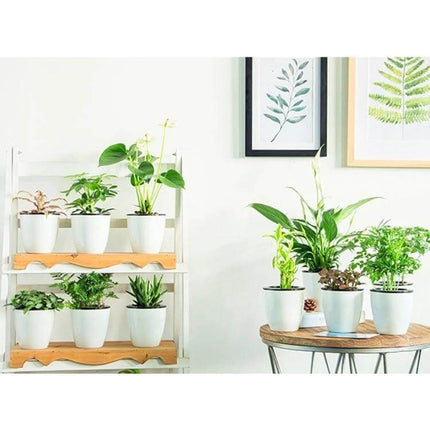 Lazy Flower Pots Self Watering Planter, 11cm Diameter white pots on shelf and table displaying indoor plants, double-layer self-watering design